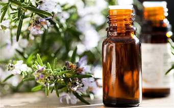 rosemary essential oil